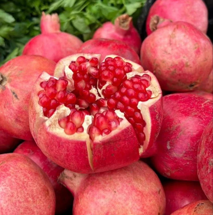 Shisheh Pomegranate Seeds (Punica granatum 'Shisheh') – Premium Fresh Rare Persian Sweet Shisheh Pomegranate Seeds for Planting