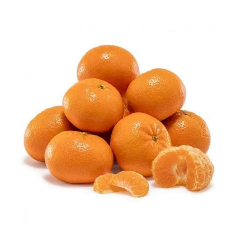 Fresh Wokam Orange Seeds (Citrus reticulata var. Wokam) – Premium Sweet Mandarin Citrus Fruit Tree Seeds for Planting (100+ Pcs)