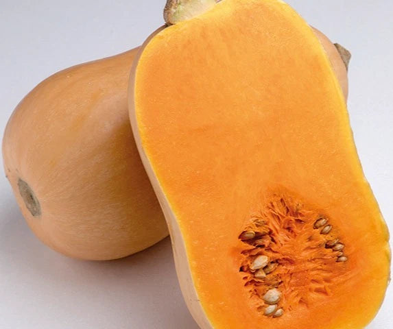 Jacqueline Honey Butternut Squash (Cucurbita moschata) – 100+ Premium Seeds