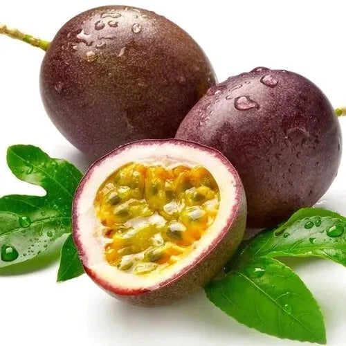 150++ Purple Passion Fruit Seeds (Passiflora edulis var. Purple Passion Fruit) – Premium Quality