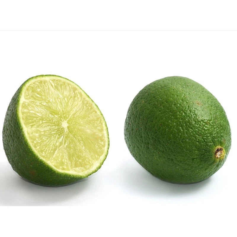Persian Lime (Citrus latifolia) – 100+ Premium Seeds (Tahiti Lime)