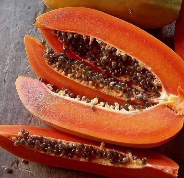 Extra Sweet Arum Bogor Papaya Seeds (Carica papaya) – High-Yield Tropical Fruit Seeds for Planting