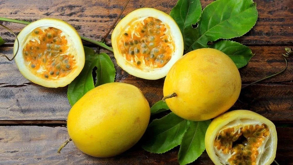Yellow Passion Fruit Seeds 2,000+ pcs (Passiflora edulis f. flavicarpa) – Premium Certified Sweet Exotic Maracuya Vine Plant Seeds for Planting