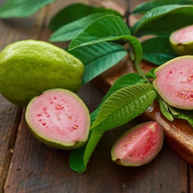 Superior Red Guava Seeds (Psidium guajava 'Superior Red') – 250+ Premium Fresh High-Yield Sweet Pink Guava Seeds