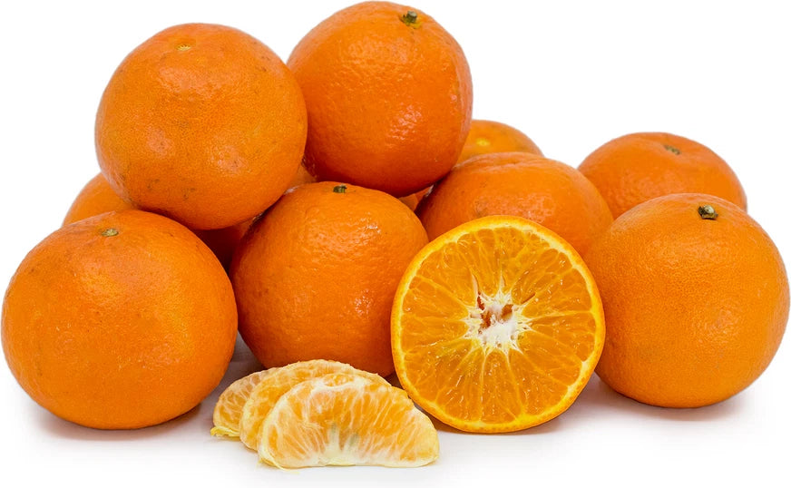 Fairchild Orange Seeds (Citrus reticulata x paradisi / 100+ Sweet Mandarin-Grapefruit Hybrid Fruit Tree Seeds) – Premium Exotic Botanical Specimen Plant Seeds for Planting