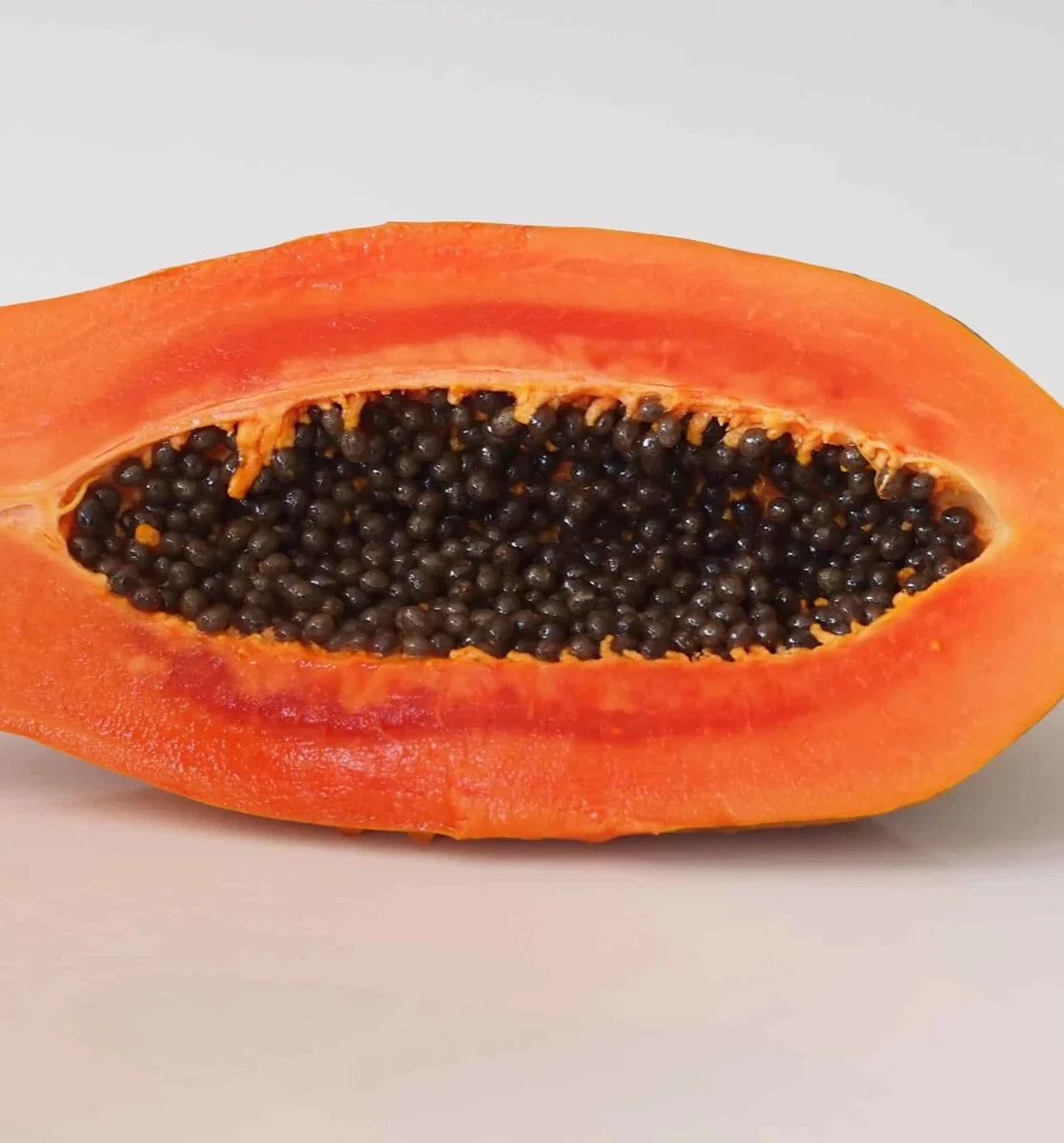 Jinggo Papaya Seeds (Carica papaya 'Jinggo') – 150+ Premium Fresh Sweet Vibrant Orange-Red Jinggo Papaya Seeds