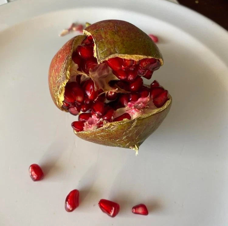 Kazake Pomegranate Seeds (Punica granatum 'Kazake') – 100+ Premium Fresh Cold-Hardy Russian Sweet Pomegranate Seeds