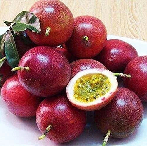Red Passion Fruit Seeds (1,000+ Bulk Seeds, Passiflora edulis var. edulis) – Premium Purple Granadilla / Tropical Vine Fruit Seeds for Planting