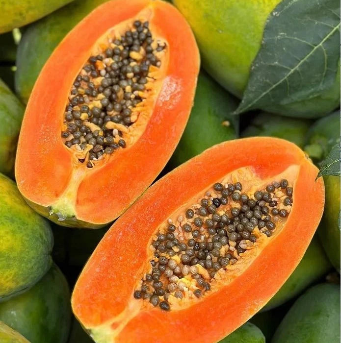 Premium Callina Papaya Seeds (Carica papaya var. Callina) – Red Pawpaw Tropical Fruit Tree Seeds for Planting (150+ Pcs)