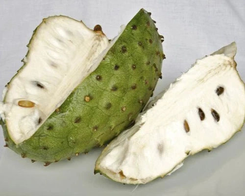 100+ Arusha Soursop Seeds (Annona muricata) – Elite 'Sweet Arusha' Genetic Stock (Collectors Quality)