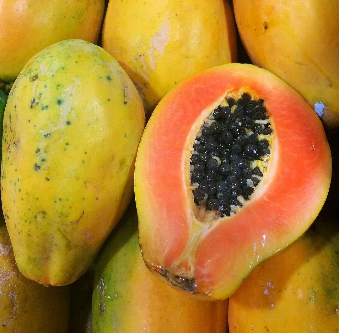 Solo Sunrise Papaya Seeds (Carica papaya) – 150+ Premium Hawaiian Heirloom Sweet Salmon-Pink Papaya Seeds