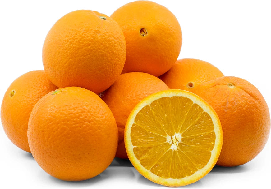 Fresh Navel Orange Seeds (Citrus sinensis var. Navel) – Premium Sweet Seedless Orange Fruit Tree Seeds for Planting (100+ Pcs)