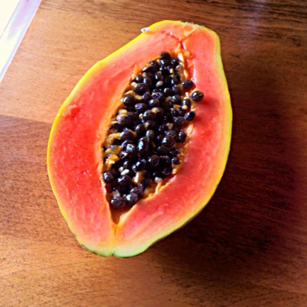 Red Waimanalo Papaya Seeds (Carica papaya 'Red Waimanalo') – 150+ Premium Fresh Rare Sweet Red Waimanalo Papaya Seeds