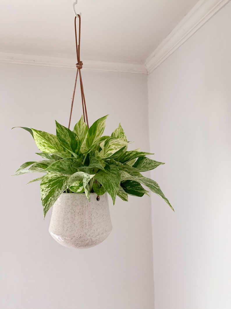 Ceramic Hanging Planter - Minimalist Cream with Beige Speckles - Frankie Planter - Leather Rope - 6" & 8" Sizes
