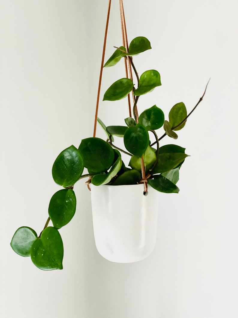 Minimalist Ceramic Hanging Planter with Leather Rope - Ezra Planter - 4" Medium, 4.75" Large - Modern Home Decor
