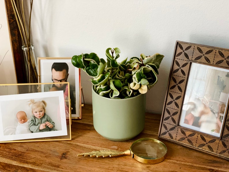 Modern Matte Pot 5" Neutral Tone Muted Olive Planter - No Drainage Hole - Stylish Home Decor Planter