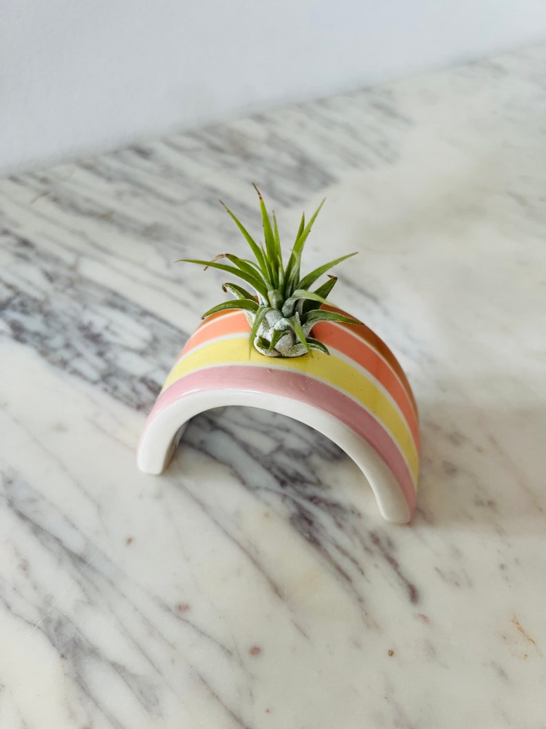 Rainbow Airplant Holder - Ceramic Planter for Tillandsia - Colorful Striped Design - Ideal for Small to Medium Airplants