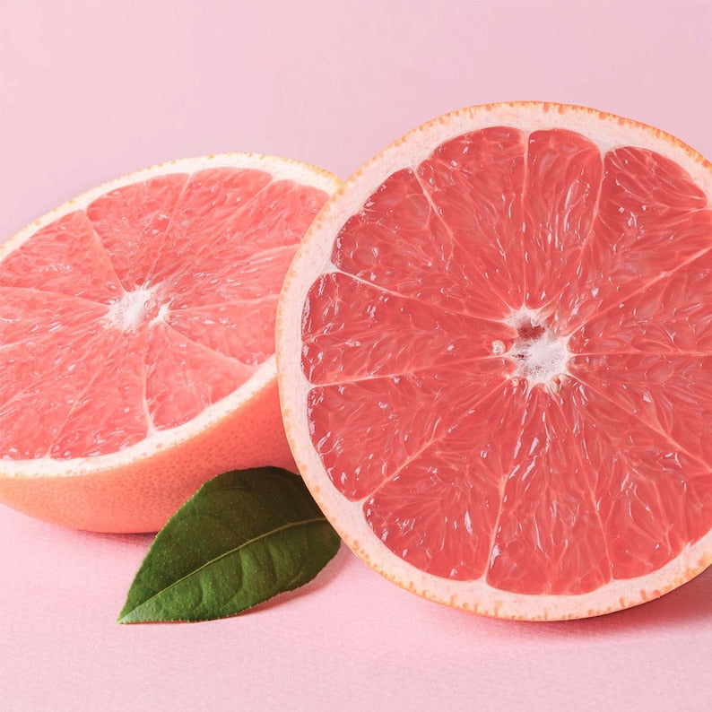 Bush Ruby Grapefruit Tree - 1 Gallon Fruiting Live Plant - Citrus × paradisi - No Shipping to California