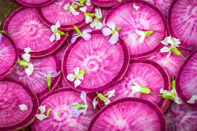 Pusa Gulabi Radish Seeds - 25 Non-GMO Seeds, Tasty Pink Root Vegetable, Easy to Grow, Raphanus sativus, Perfect for Garden or Container