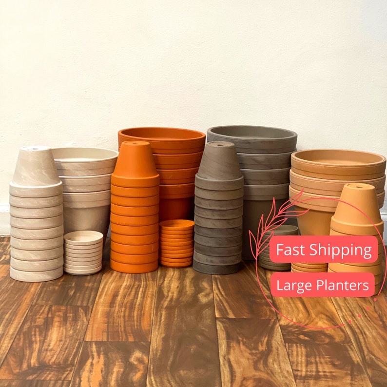 8 inch planter with saucer Large Terracotta Planter Pot 8 Inch with Drainage Saucer for Houseplan –  Sejahtera Seeds and Bulbs