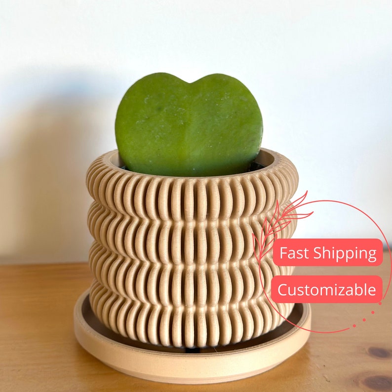 Unique Bubble Succulent Planter Pots | 2.5"-6.5" Indoor Planters with Drainage | 3D Printed Houseplant Pots