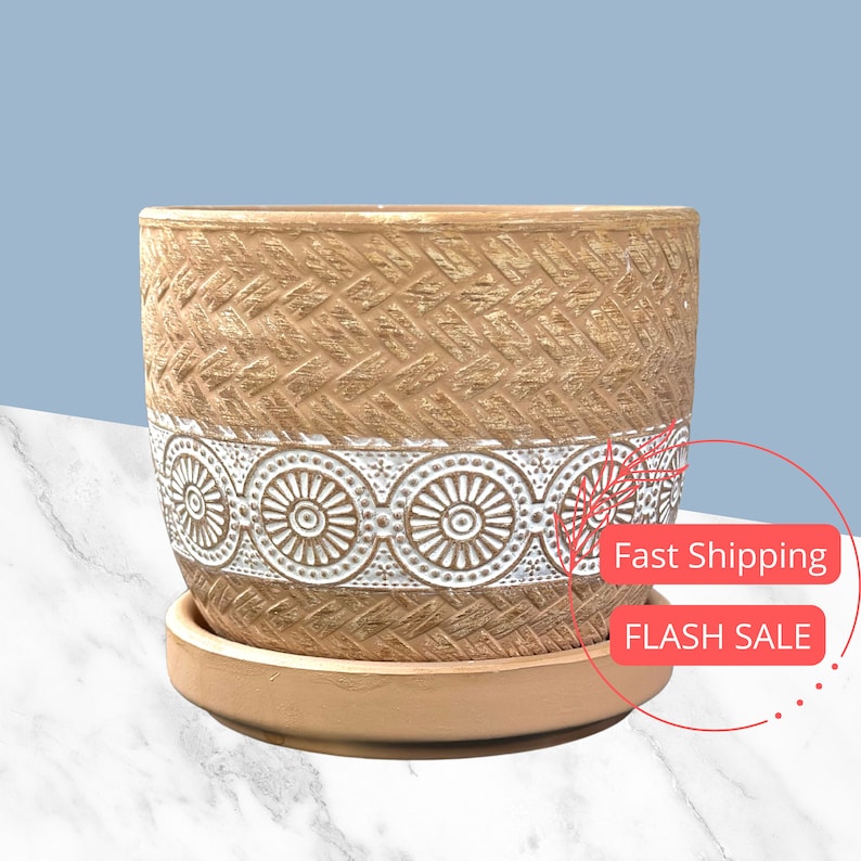 Chiseled Planter Pots Set | 4.5" Glazed Ceramic Planters with Drainage & Saucer | Indoor Plant Pots for Home Decor