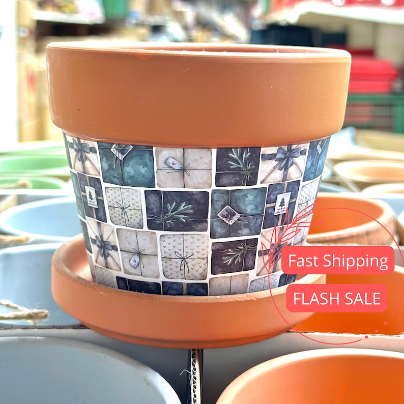 Terracotta Pot Set 4.5" | Indoor Plant Pots with Drainage & Saucer | Houseplant Planters | Terra Cotta Planters