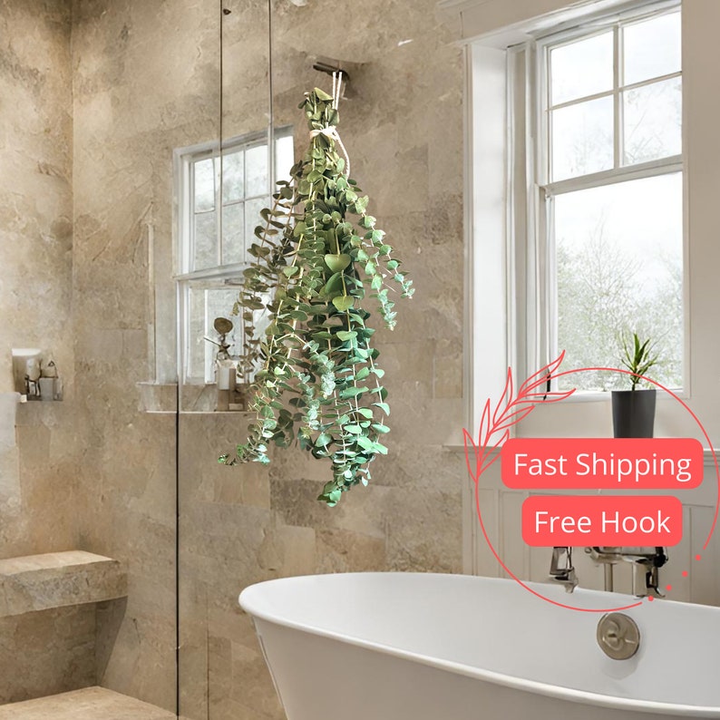 eucalyptus plant in bathroom Fresh Eucalyptus Shower Bundle | Aromatherapy Plant Gift