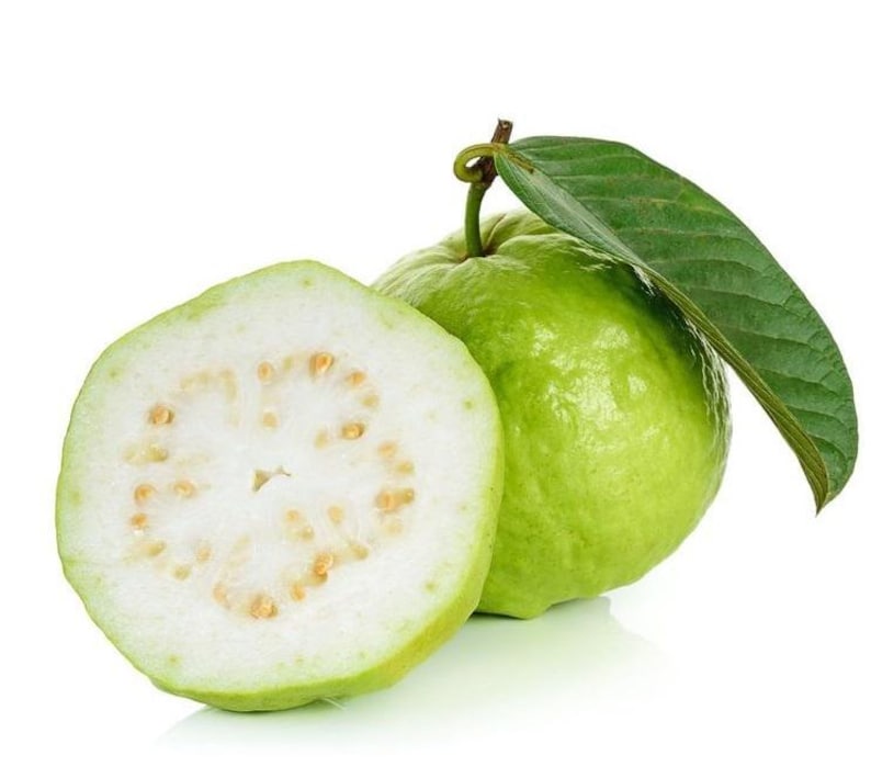 Thai White Guava Fruit Tree - Psidium Guajava - Sweet Fruit, Tropical Landscape Plant - Fast Growing, Home Garden Essential