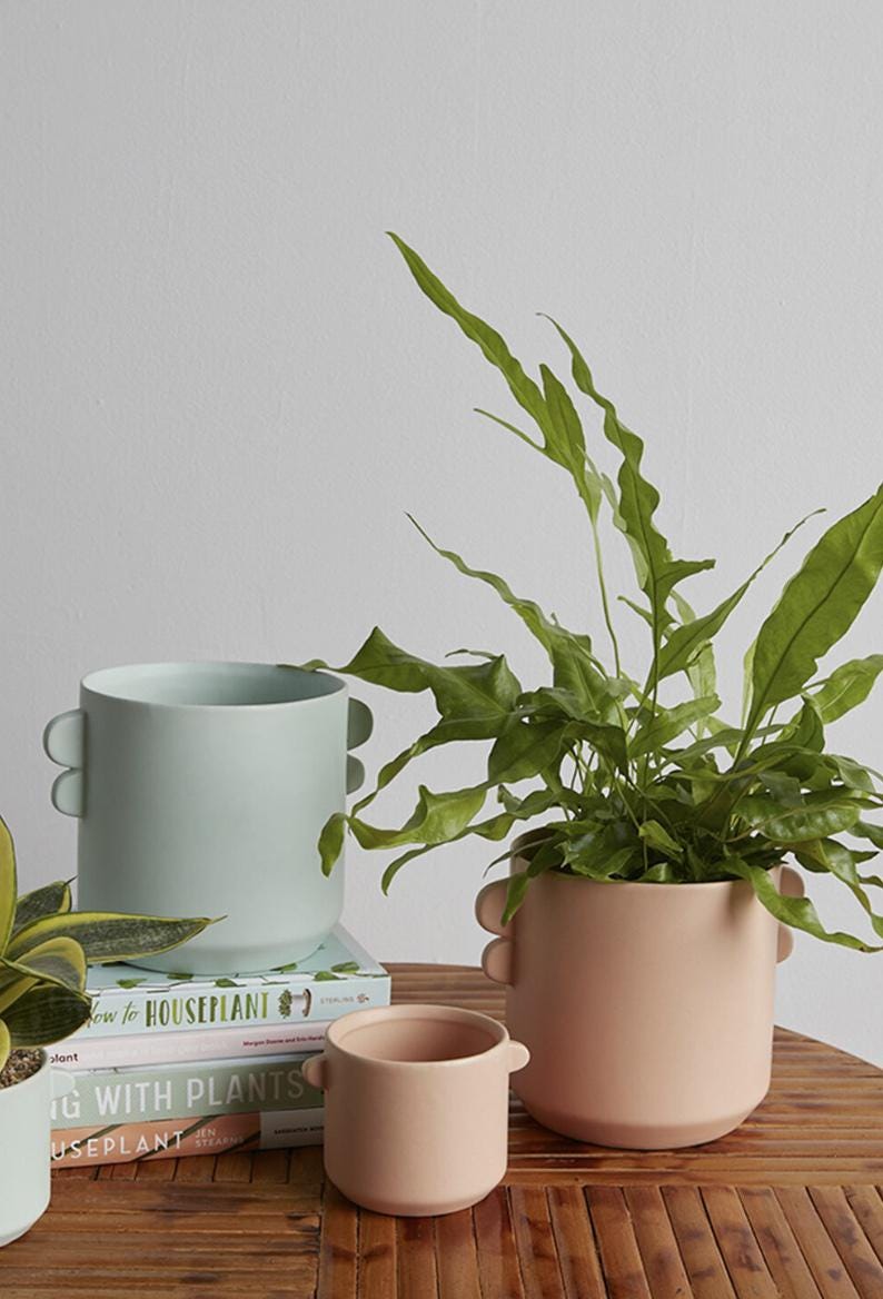 Coral Ceramic Pot for Plants - Sydney Planter with Ear Loops - Decorative Indoor Pot - Ideal for Home Decor