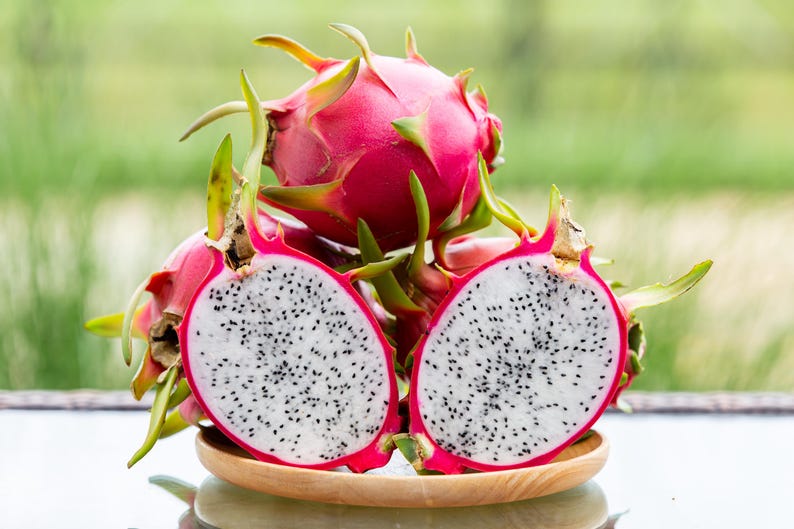 White Dragon Fruit Seeds, 10 Hand Collected Seeds, Pitaya, Selenicereus undatus, Cactus Fruit Seeds, Sweet Taste