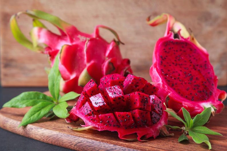 Red Dragon Fruit Seeds - 10 Pack, Selenicereus undatus, Night Blooming Cereus, Sweet Edible Cactus Fruit, Free Shipping