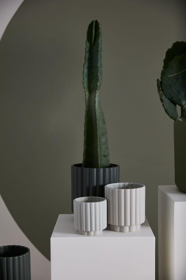 Elegance Pot - 4" Coastal White Ceramic Planter - Mediterranean Decor - Fluted Design