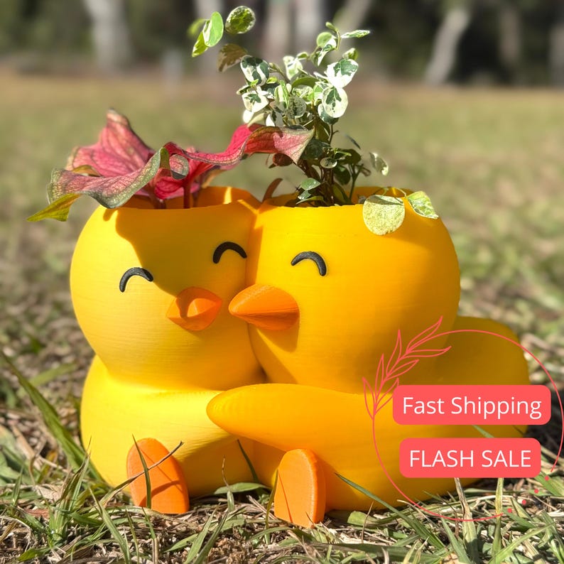 Duck Indoor Planter Pots | 3D Printed Cute Planters | Key Holder for Entryway | Small Air Plant Pot | Decorative Pot for Home