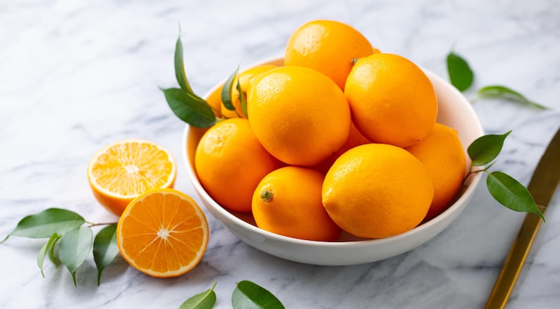 Meyers Lemon Bush Live Plant - 1 Gallon - Flowering Citrus Variety - Citrus limon 'Improved Meyer'