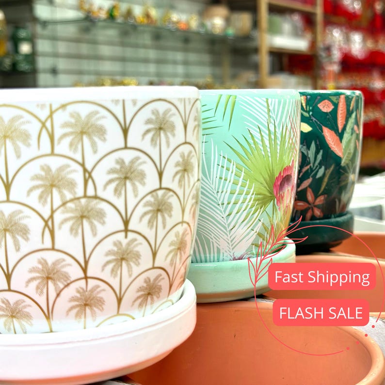 Tropical Planter Pots Set of 3 | Glazed Ceramic Indoor Planters with Drainage | House Plant Pots for Home Decor
