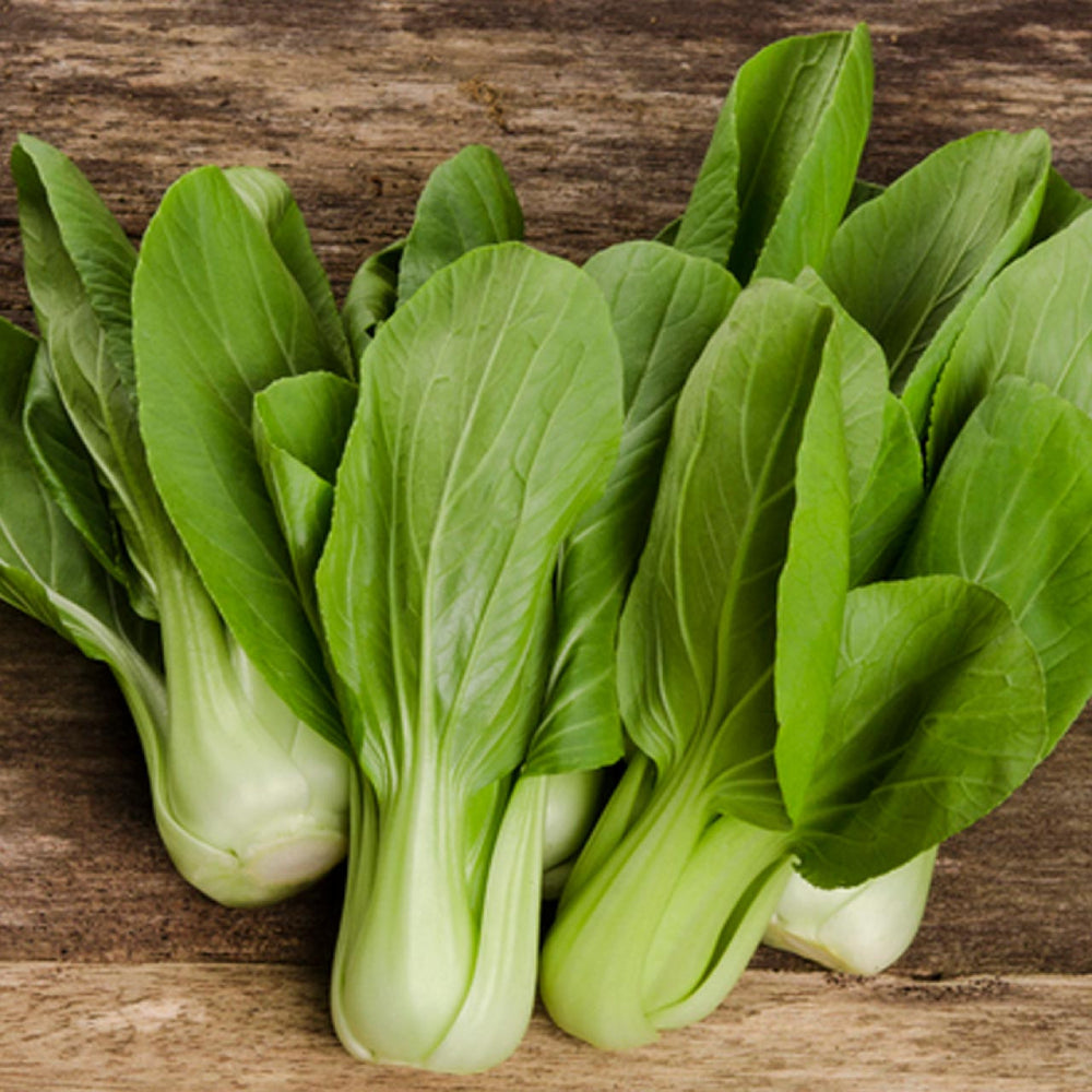 Pak Choi White Stem