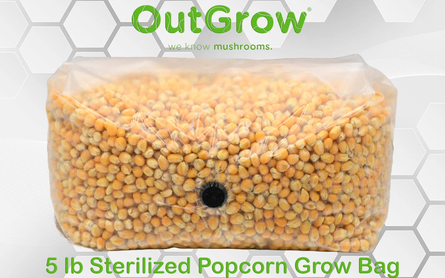 Popcorn Grow Bag 5lb - Sterilized Mushroom Substrate for Mycelium Growth - Out-Grow's Hydrated Popcorn (Self-healing Port)