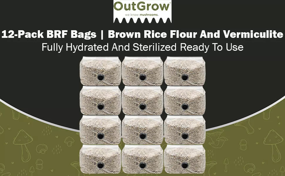 BRF Mushroom Substrate Grow Bags 12-Pack - Brown Rice Flour Bags for Easy Cultivation (Ready-to-Inoculate)