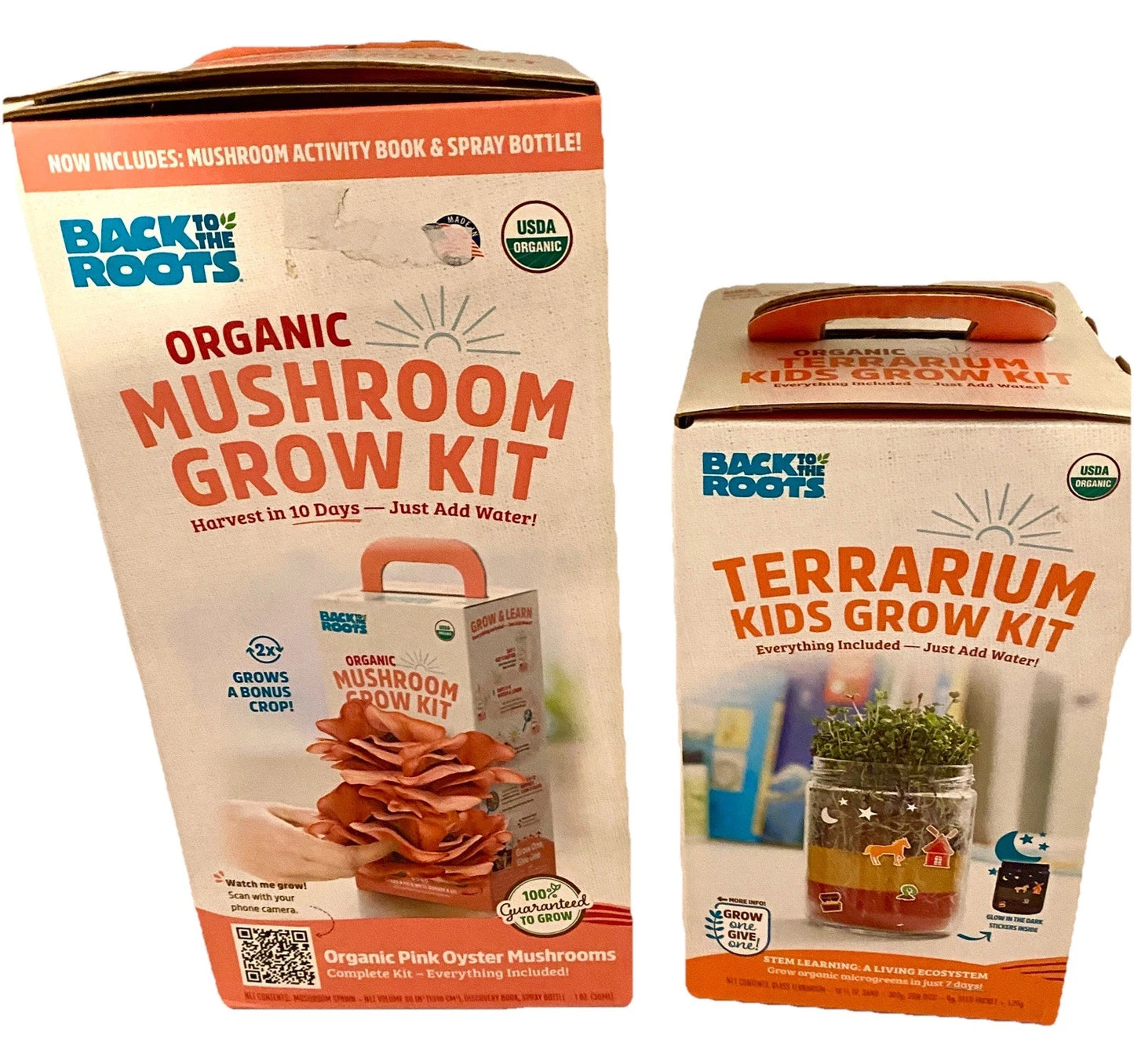 Organic Pink Oyster Mushroom Grow Kit & Kids Terrarium STEM Kit - Educational Indoor Gardening, Non-GMO, Child-Safe