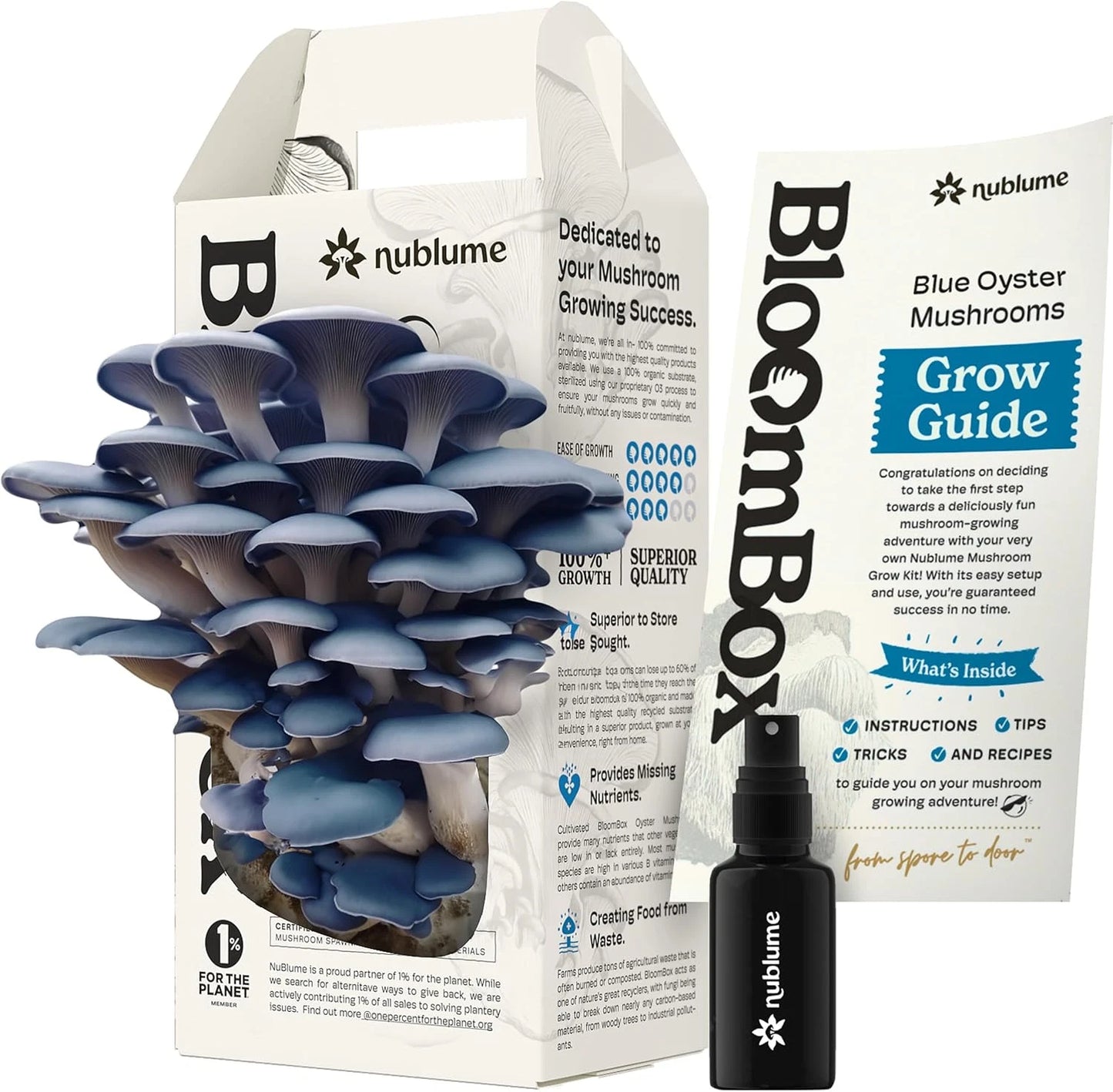 Blue Oyster Mushroom Grow Kit | Indoor Gourmet Mushroom Kit | Blue | Pleurotus ostreatus | Easy Home Cultivation