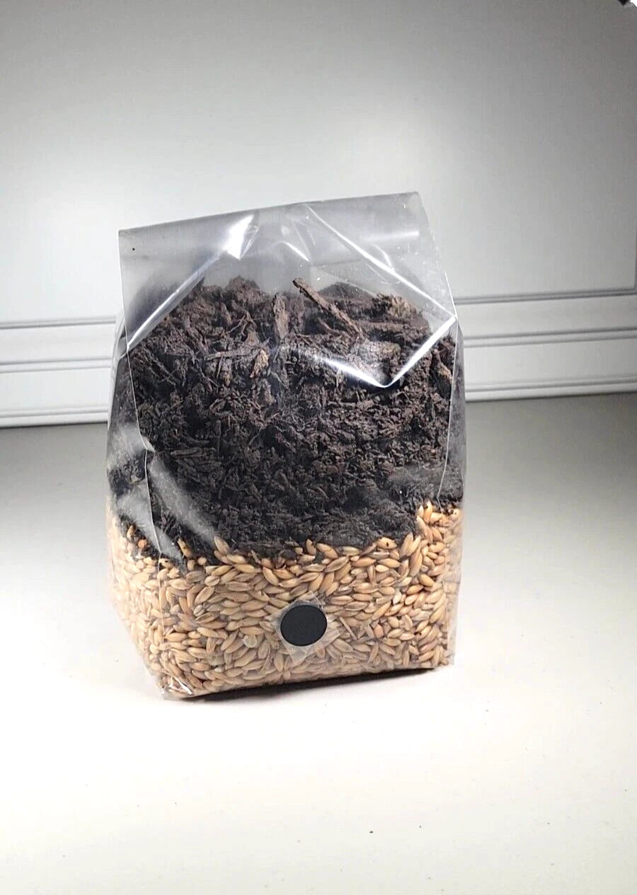 Mushroom Grow Bag 4 lbs Premium Substrate Nutrient-Rich All-in-One Kit (with Injection Port & Filter)