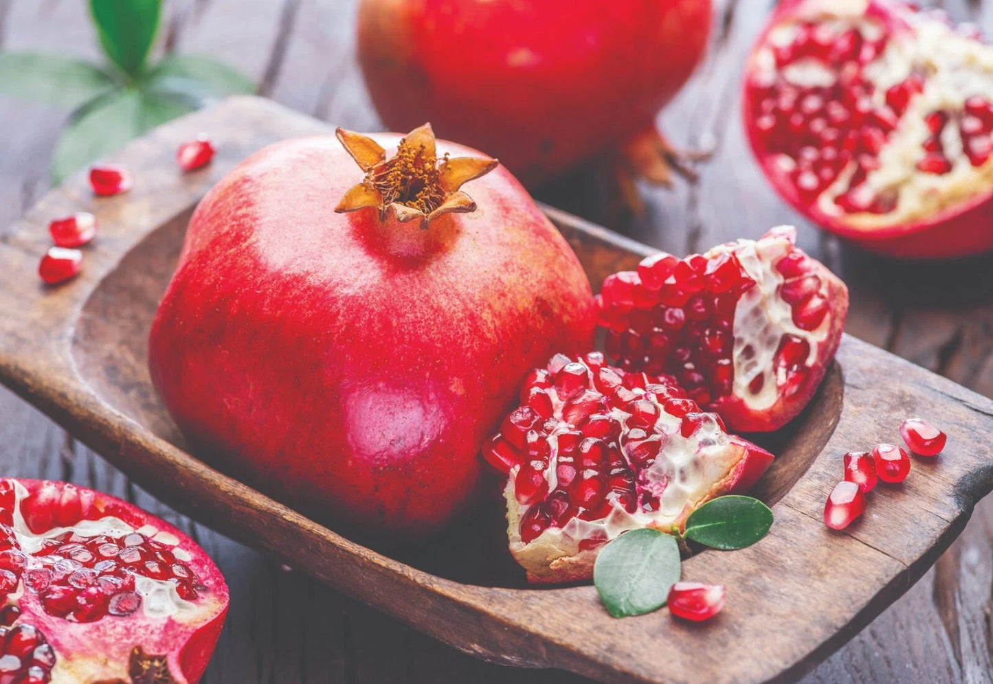 Pomegranate Cuttings - 6 to 8 inches Unrooted - Fresh Cut Pomegranate (Punica granatum)