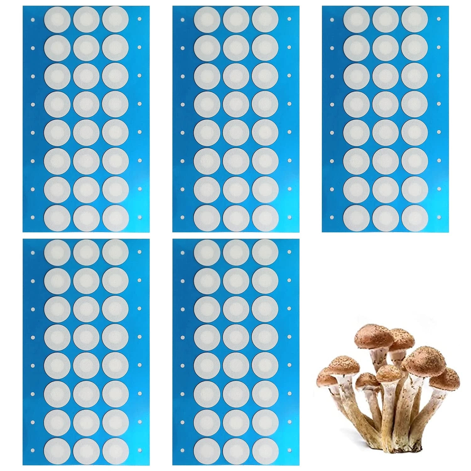 Synthetic Filter Discs – 20mm X 0.3µm, Pack Of Stickers For Mushroom Jars, Fast Shipping