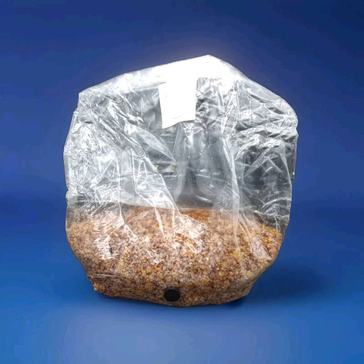 4lb Mushroom Grain Spawn - Albino Ultra Blend - Sterile Grain Bag for Cultivation (Milo, Millet, Cracked Corn)