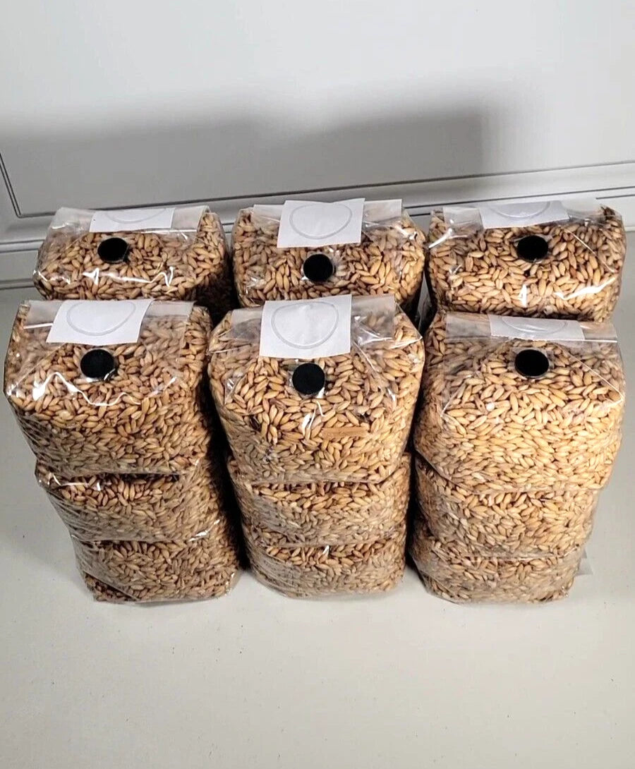 Bulk Mushroom Oat Grain - 18 Sterilized Bags with .2 Micron Filter & Injection Port - Perfect for Cultivation