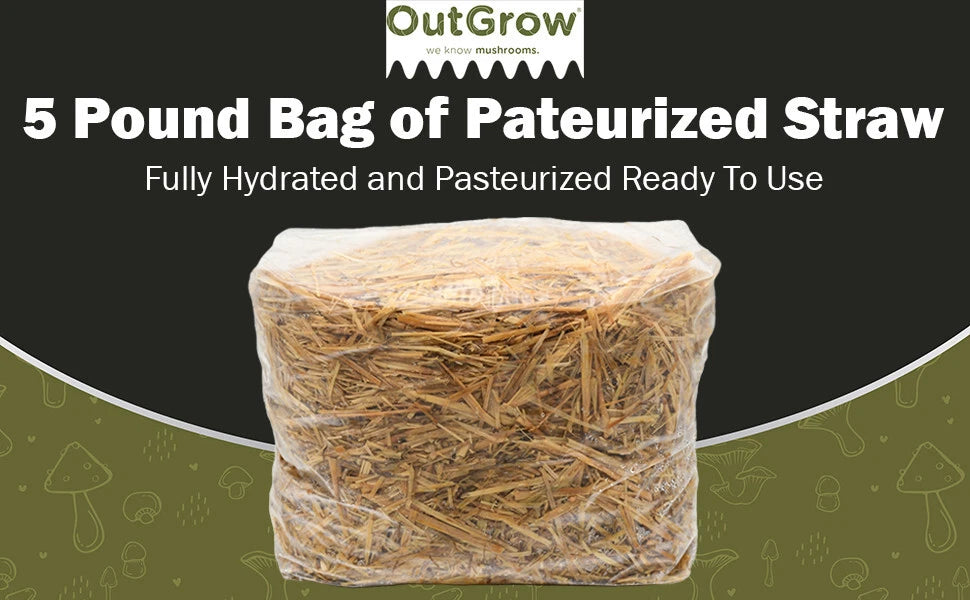 Pasteurized Wheat Straw Mushroom Substrate 5 lb Grow Bag for Oyster Mushrooms - Out-Grow Quality Bulk Substrate