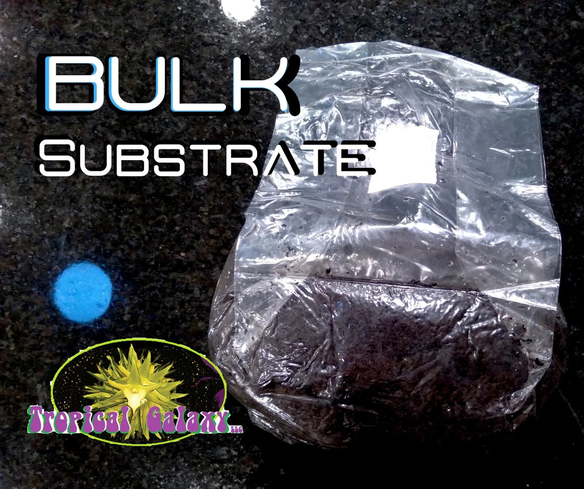 Coco Coir Mushroom Bulk Substrate 4lbs - Nutrient Enriched Blend for Mushroom Cultivation - Sterilized Formula
