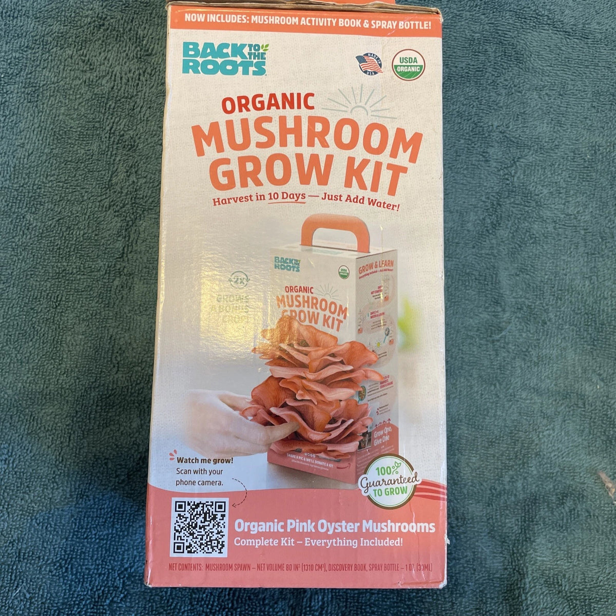 Organic Mushroom Grow Kit - Pink Oyster - Single Pack - Back to the Roots - Gourmet Mushrooms - Indoor Growing Kit