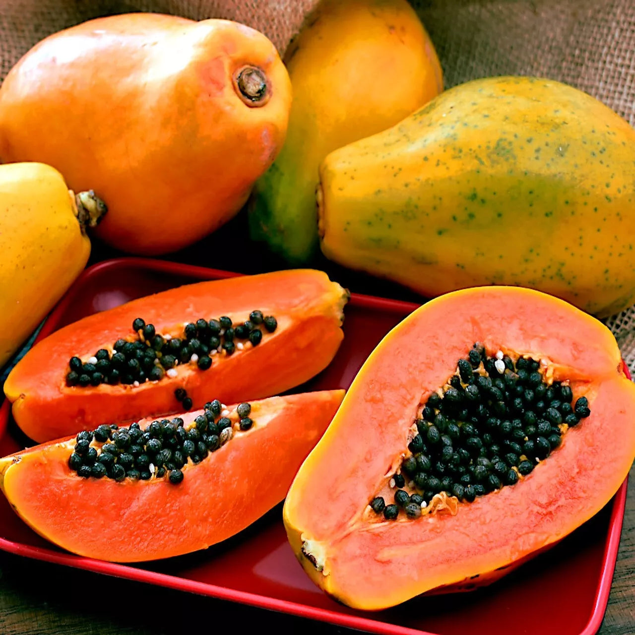 Dwarf Hawaiian Solo Sunrise Strawberry Papaya Carica 20 Seeds for Planting